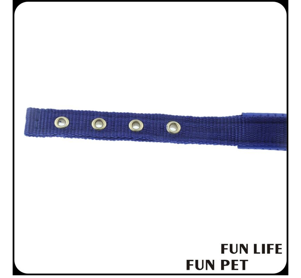 Custom Reflective Nylon Dog Collar with Soft Sponge Padding (6).jpg